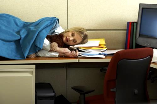 sleeping in cubicle